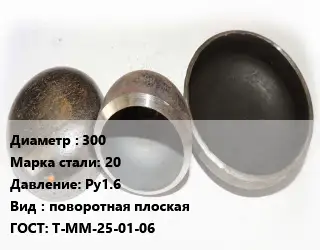 Заглушка стальная 300 Сталь: 20 Ру1.6 поворотная плоская ГОСТ: Т-ММ-25-01-06